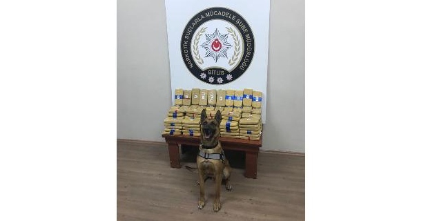 Detektör köpek 73 kilo eroini buldu