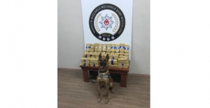 Detektör köpek 73 kilo eroini buldu